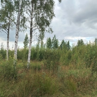 Участок в Лазаревичах
